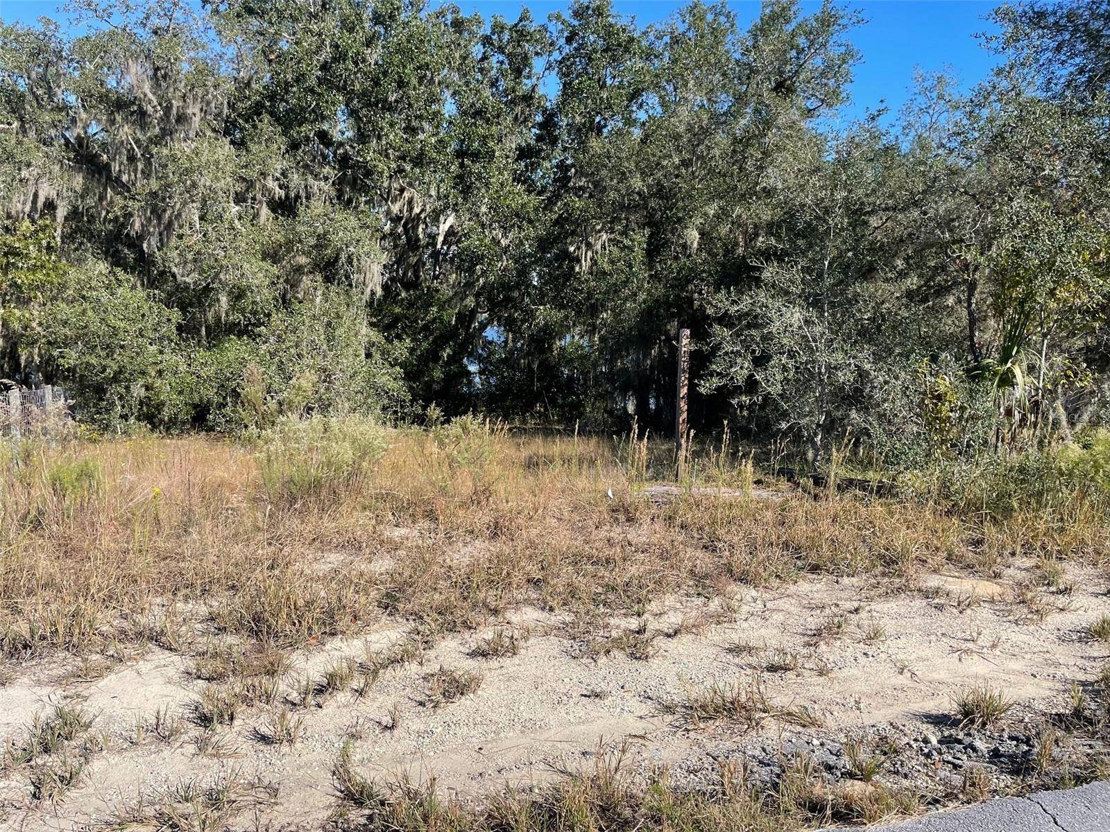 Dunnellon, FL 34431,LOTS 444, 445 SW SHOREWOOD DR