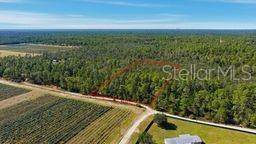 Dunnellon, FL 34433,9478 N TIMBER CREEK TER