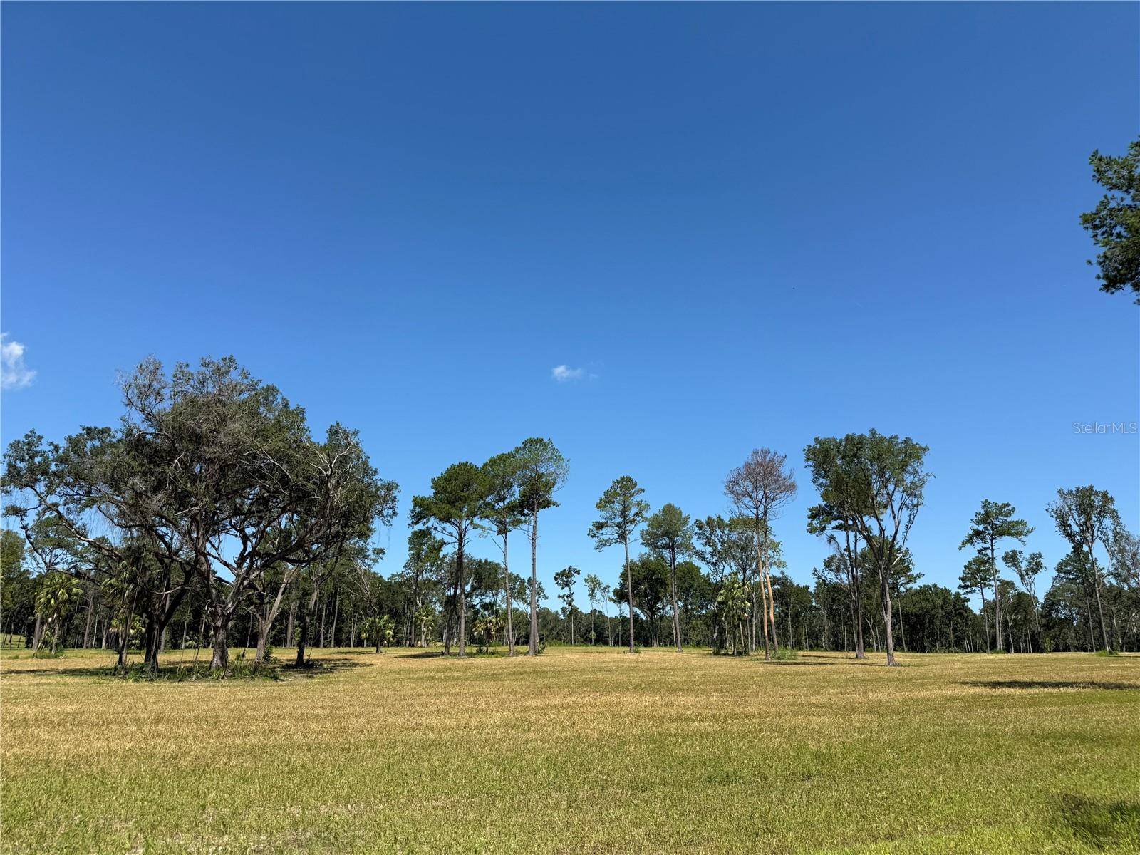 Micanopy, FL 32667,DR #8 (10ac) NW 193RD ST