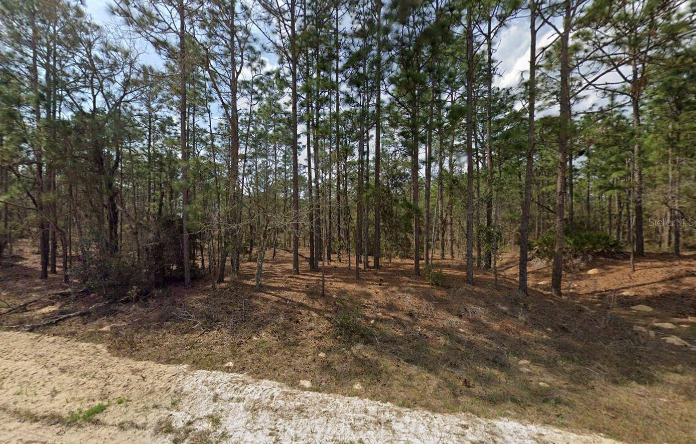 Ocala, FL 34481,00 SW 137TH CT