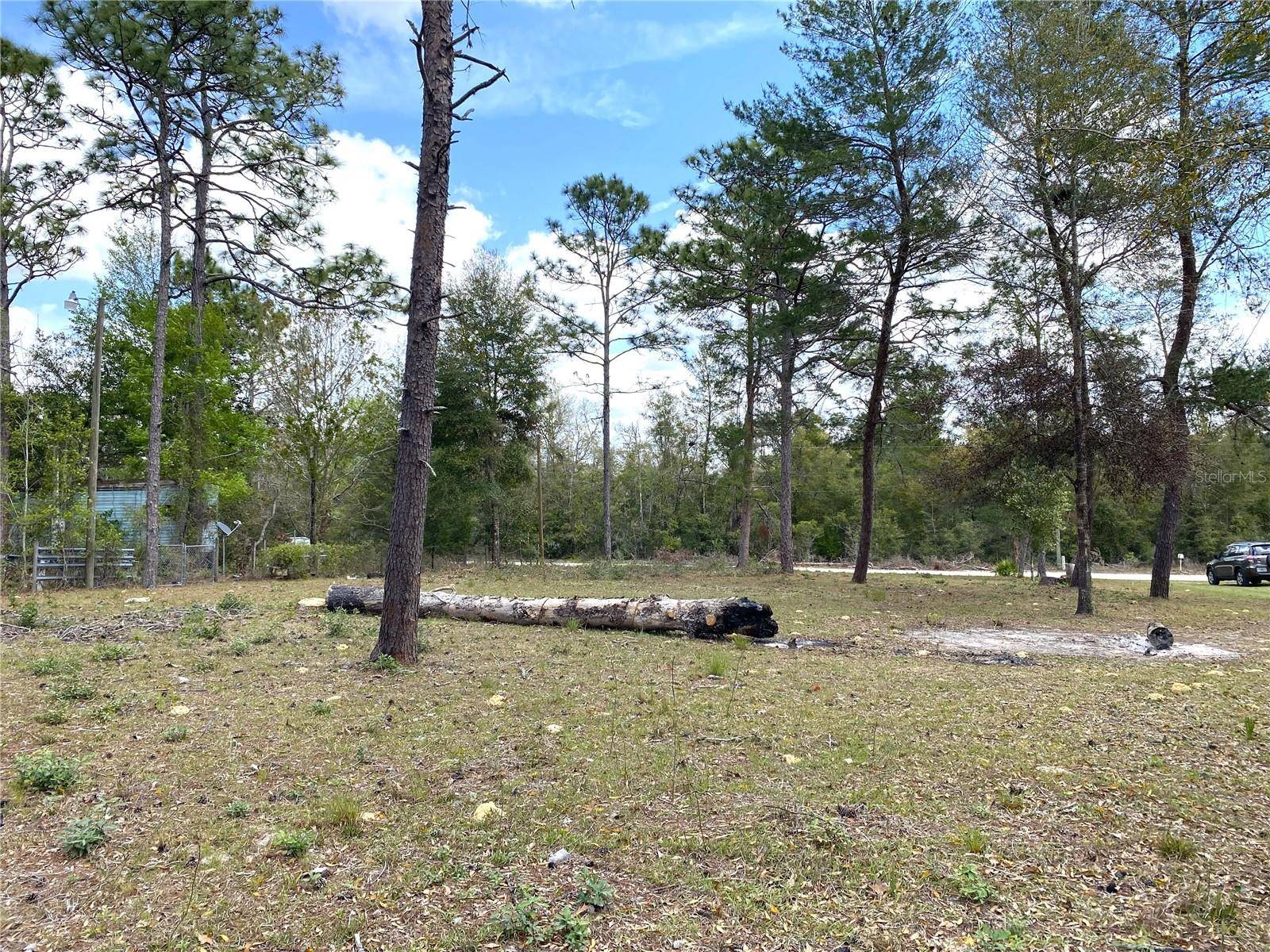 Williston, FL 32696,00 NE 142ND CT