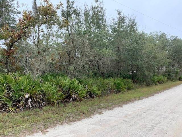 Frostproof, FL 33843,2966 INDIAN PIPES TRL