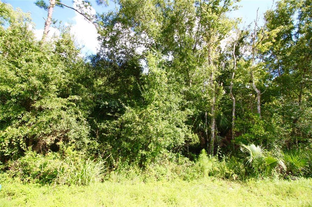 Davenport, FL 33837,LOT 10 HWY 17 92  N