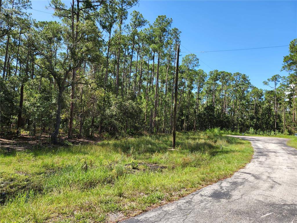 Lake Wales, FL 33898,LOT 6 S SHORE DR