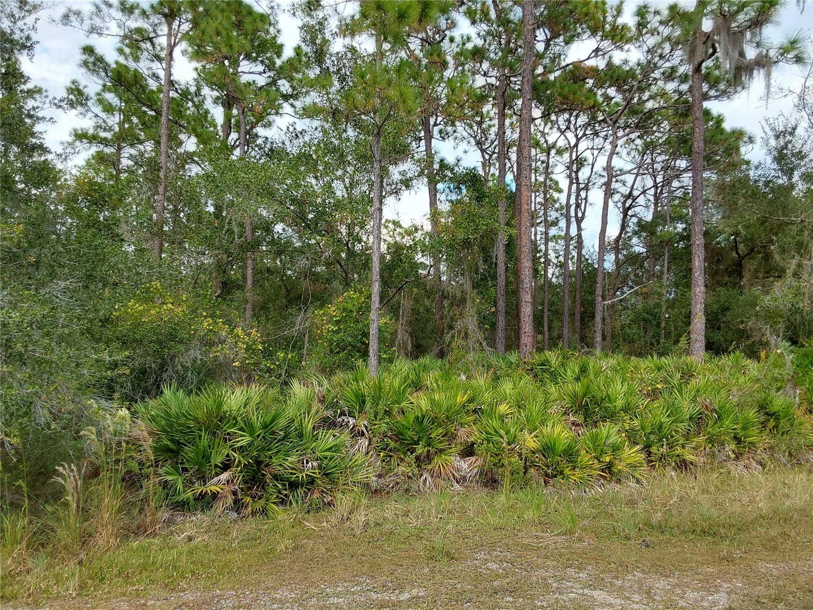 Lake Wales, FL 33898,LOT 29 S SHORE DR