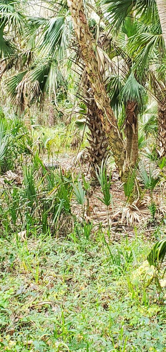 Lake Wales, FL 33898,W BEACH Pkwy