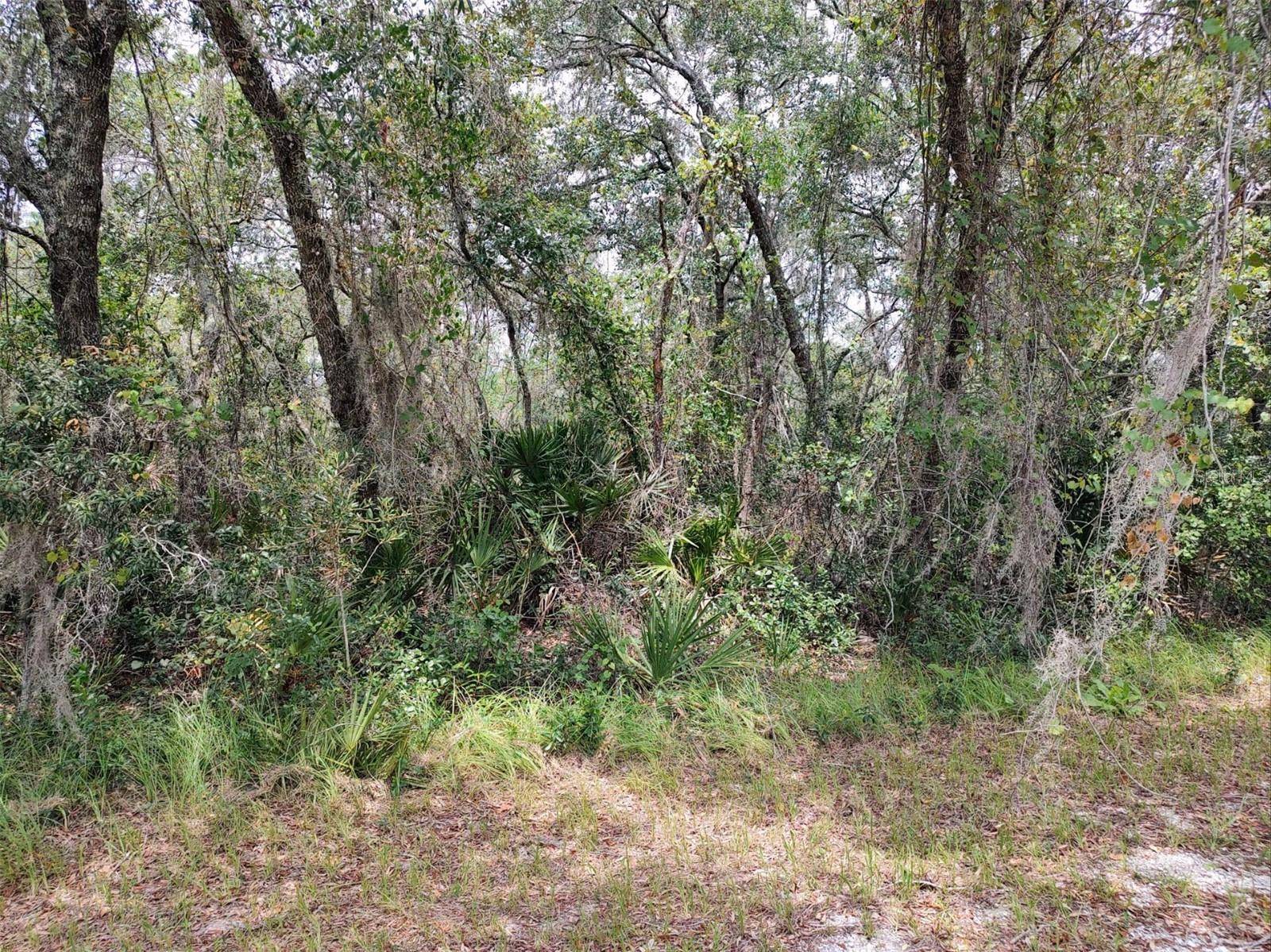 Frostproof, FL 33843,LOT 42 DEER RD