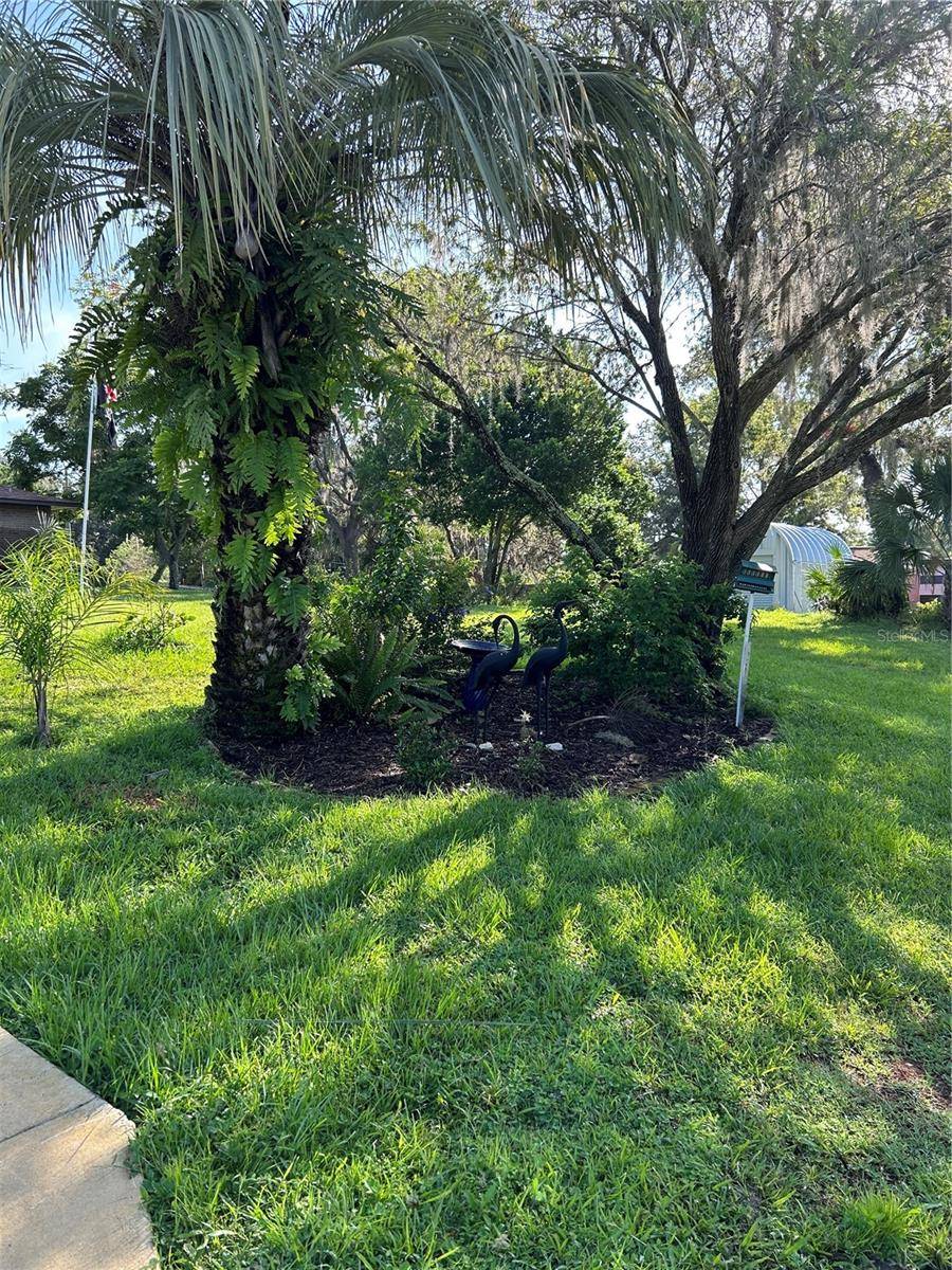 Lake Wales, FL 33898,9151 CYPRESSWOOD DR