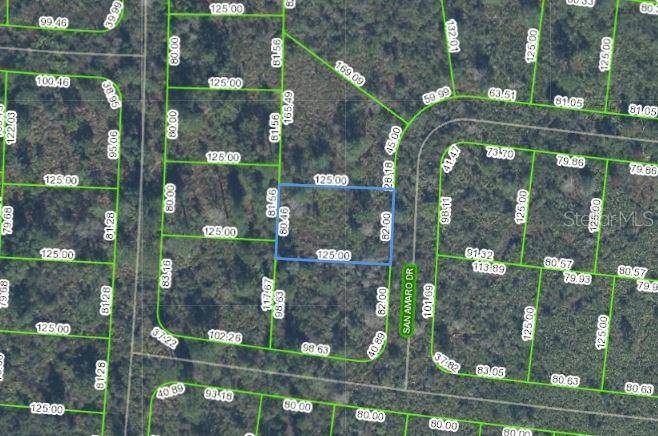 Sebring, FL 33872,8224 SAN AMARO DR