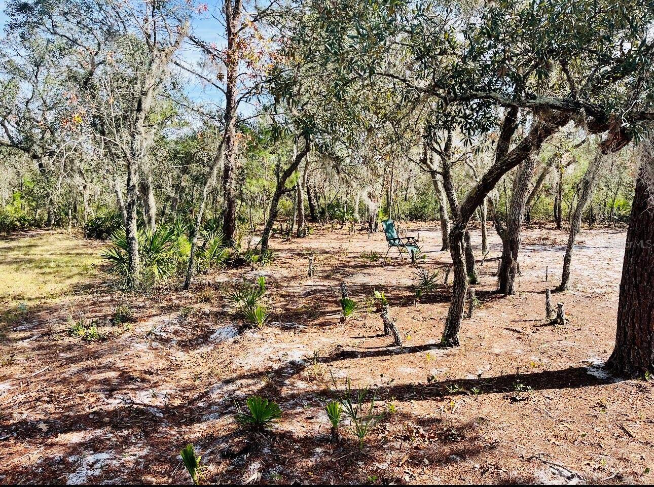 Frostproof, FL 33843,DEER RD