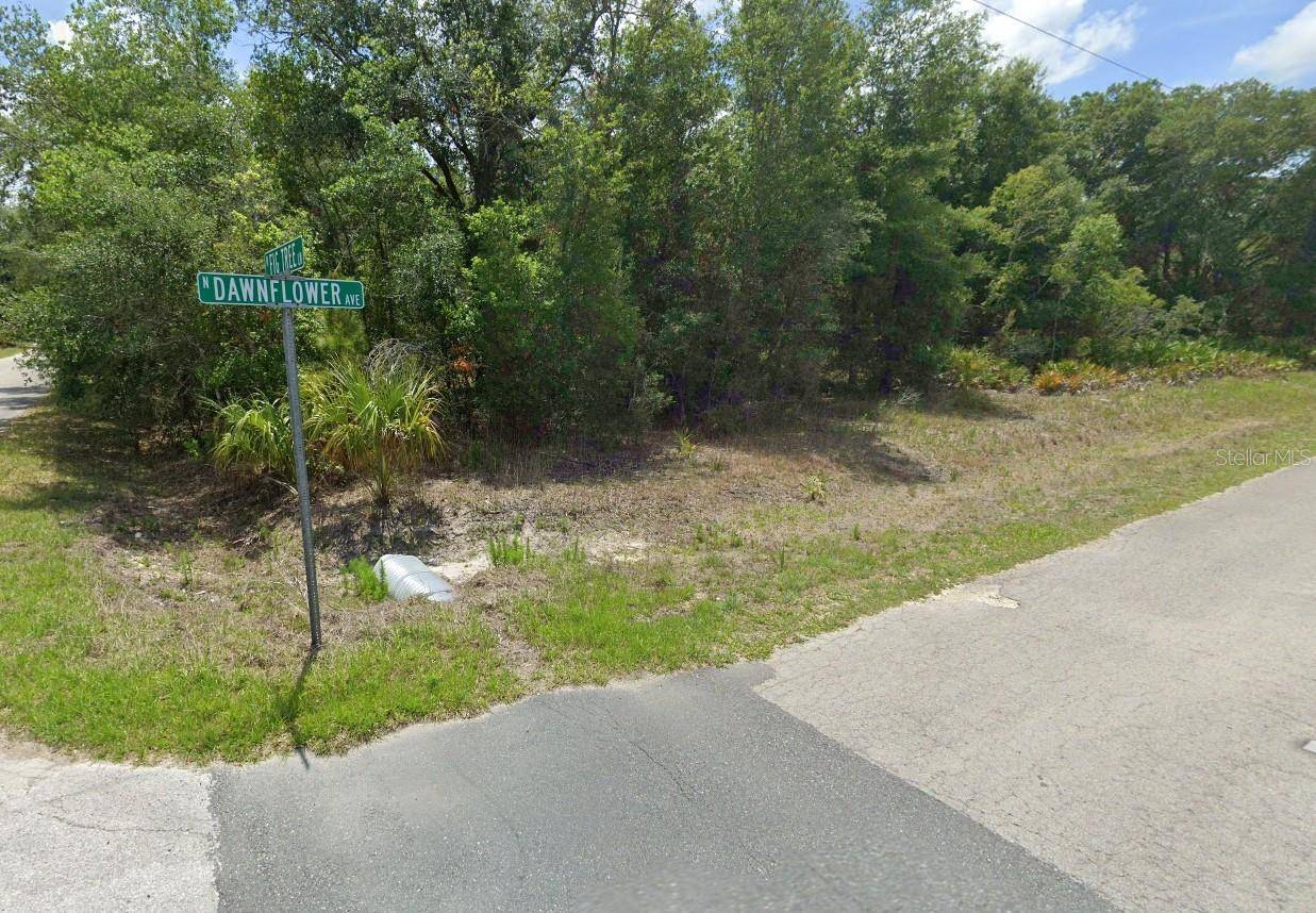 Crystal River, FL 34428,10159 N DAWNFLOWER AVE