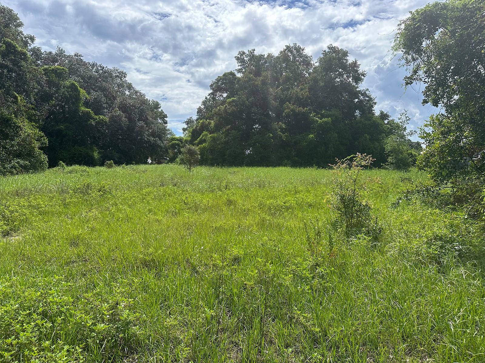 Lakeland, FL 33810,3710 WAYNE RD