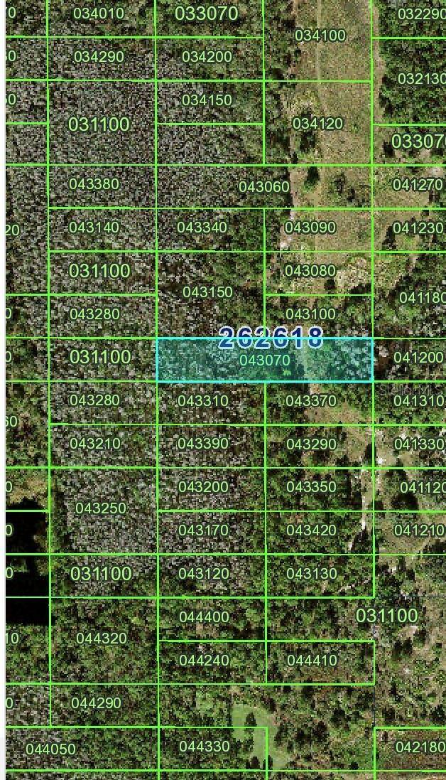 Polk City, FL 33868,OLD GRADE ROAD