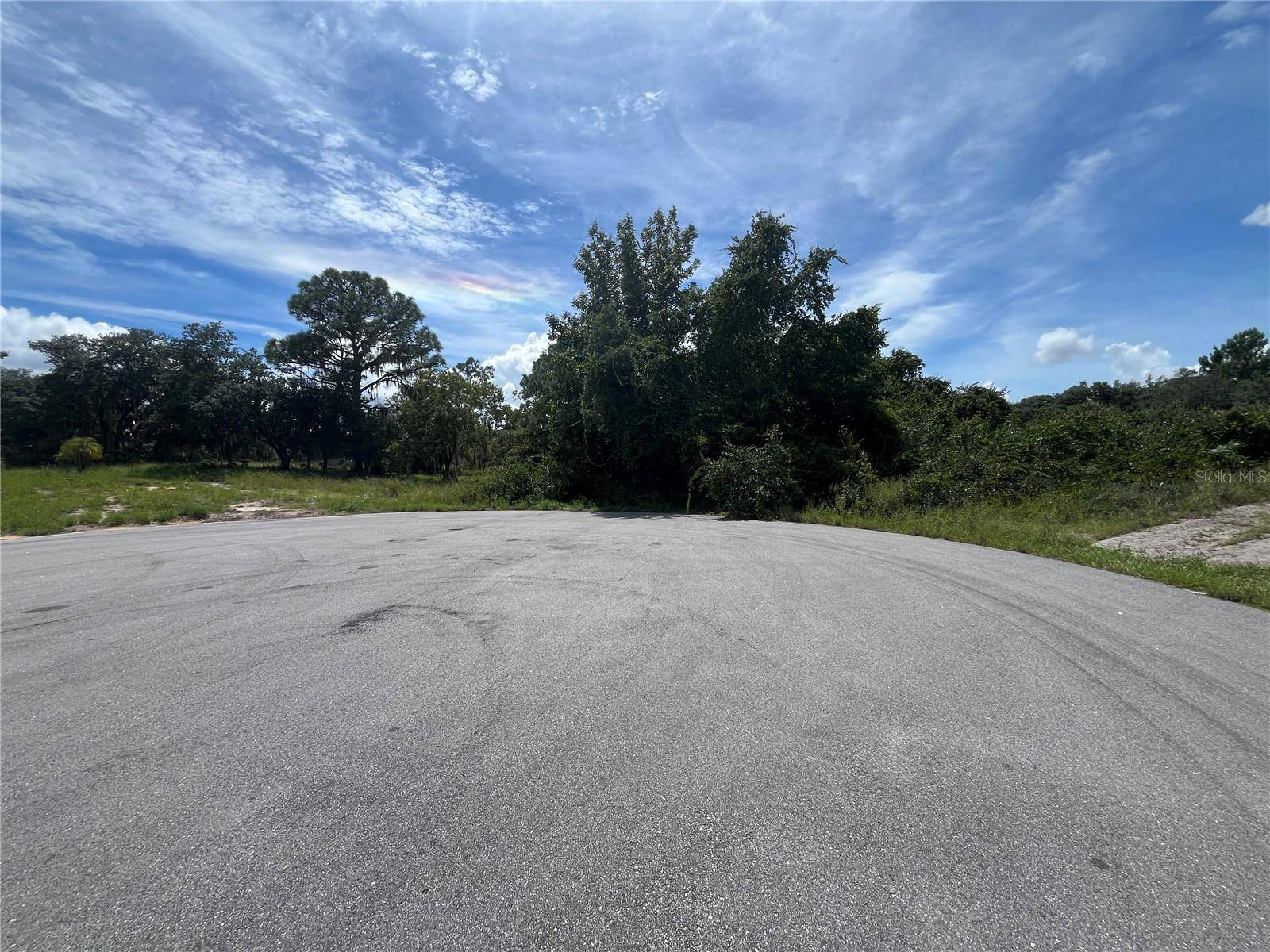 Lake Wales, FL 33898,WILLOW CIR