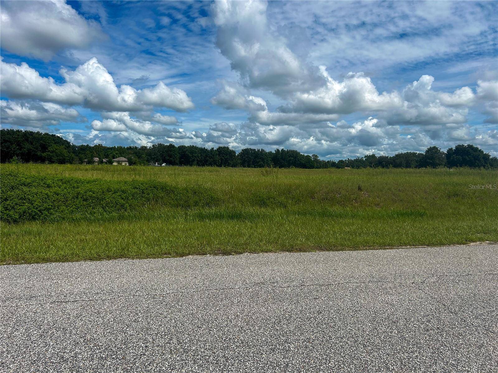 Groveland, FL 34736,INDIGO RD