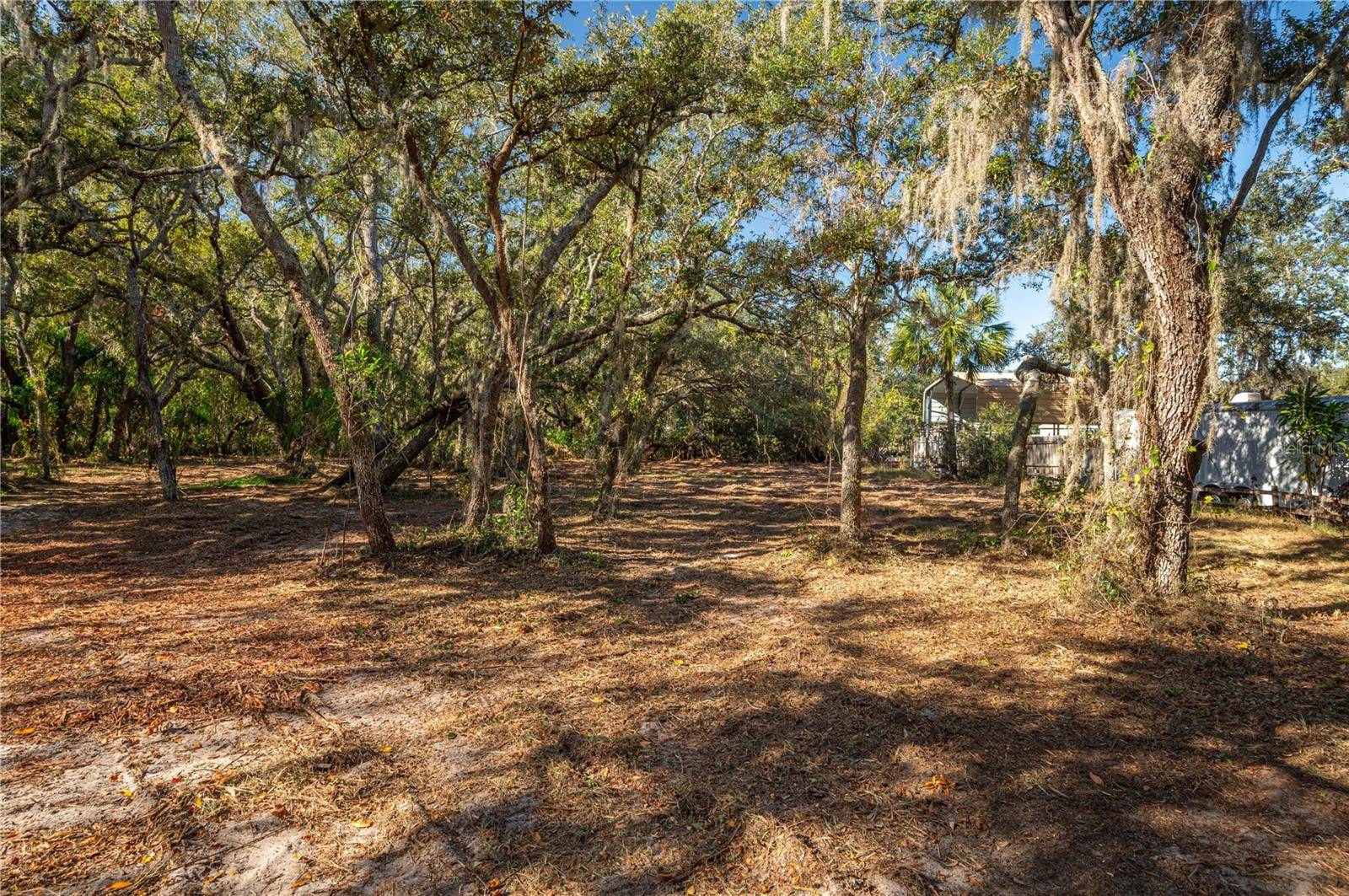 Lake Wales, FL 33898,CAPPS RD