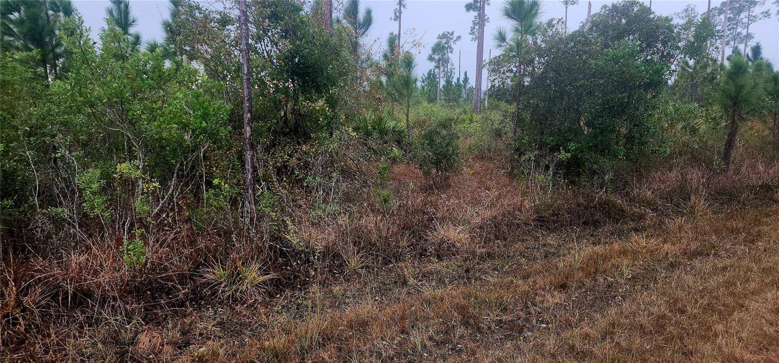 Indian Lake Estates, FL 33855,619 CALENDULA DR