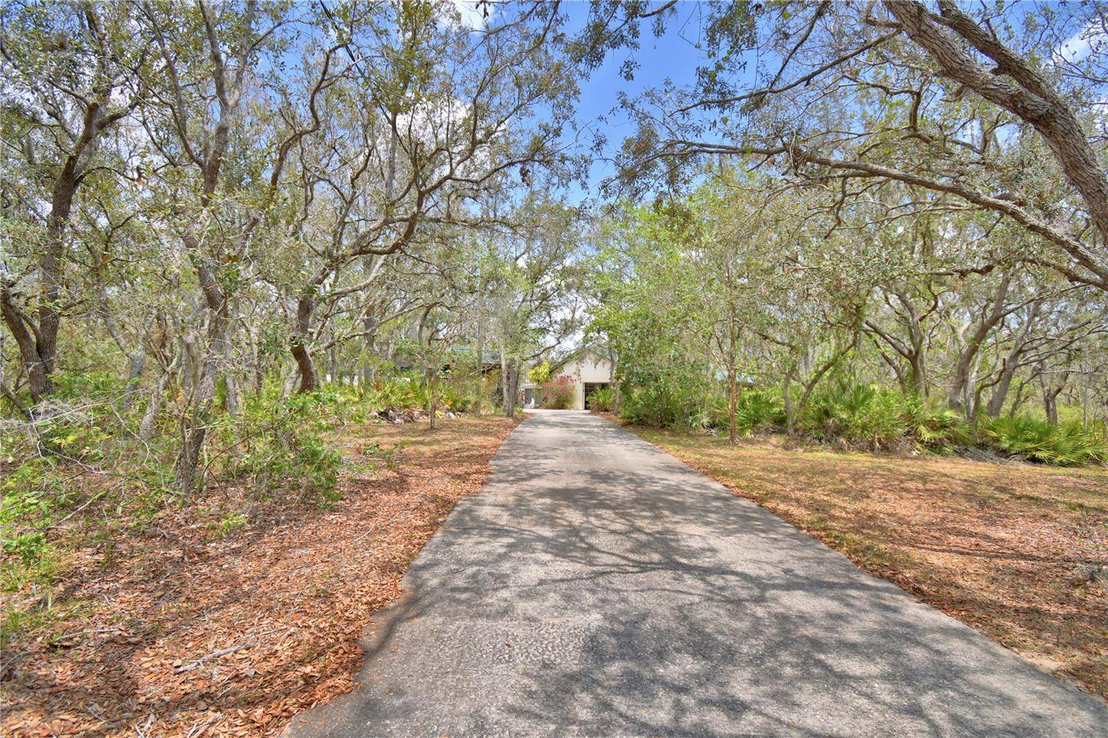 Frostproof, FL 33843,151 W HAMLIN TRL