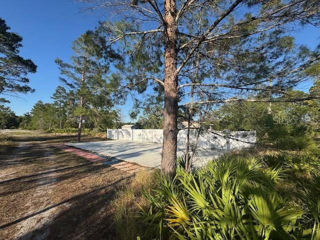 Lake Wales, FL 33898,0 CAMP MACK RD