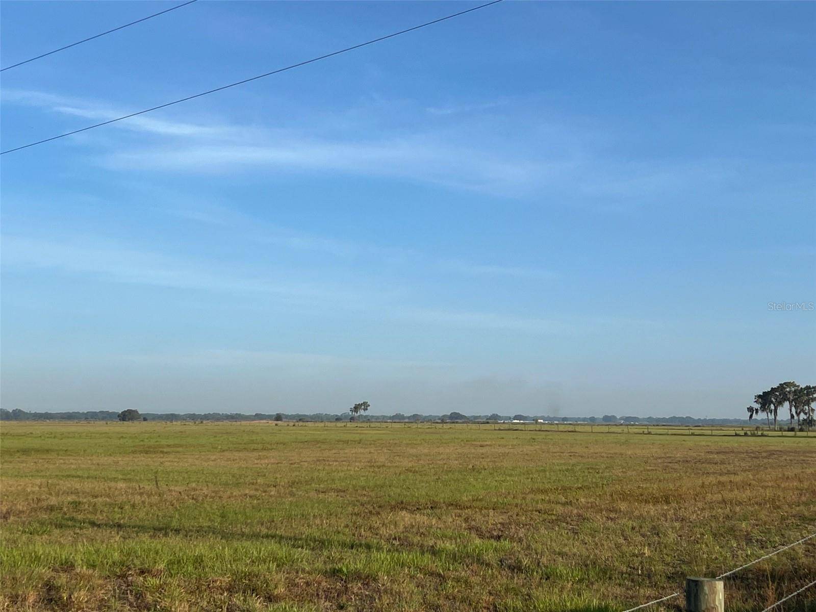 Myakka City, FL 34251,1455 S DUETTE RD
