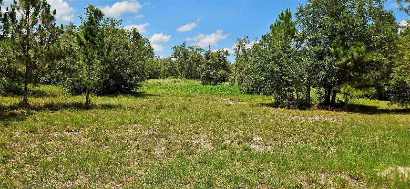Lake Wales, FL 33898,MAMMOTH GROVE RD