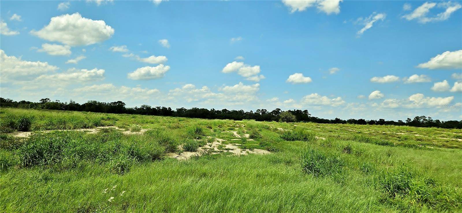 Lake Wales, FL 33898,MAMMOTH GROVE ROAD