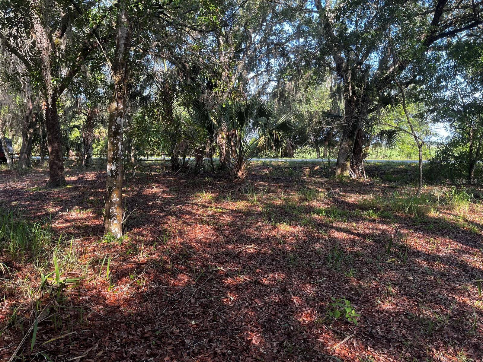 Lake Wales, FL 33898,0 CAMP MACK RD