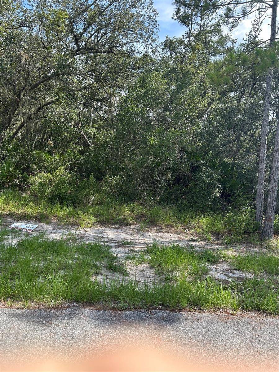 Kissimmee, FL 34759,1537 MARLIN DR