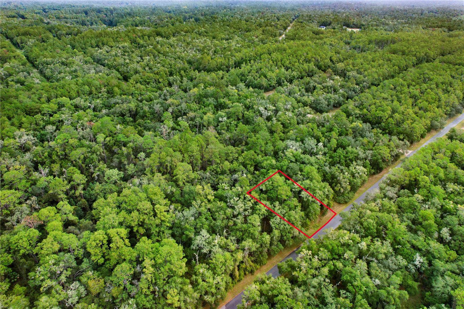 Dunnellon, FL 34434,205 E KINGSDALE ST