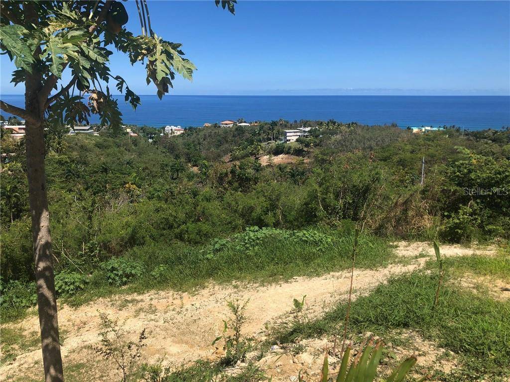 Rincon, PR 00677,PR-413, KM 4.4 INTERIOR