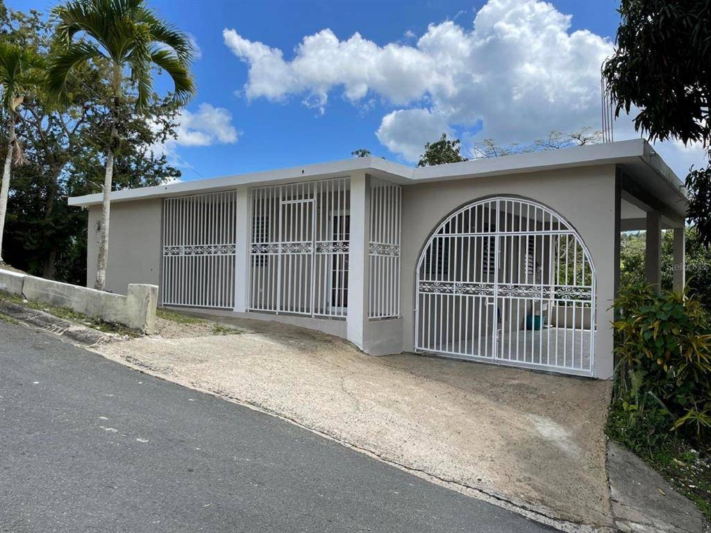 Cayey, PR 00736,Bo Rincon SECTOR LOMA PILFO