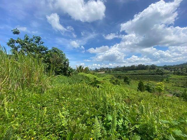 Barranquitas, PR 00794,CARR 152 #D