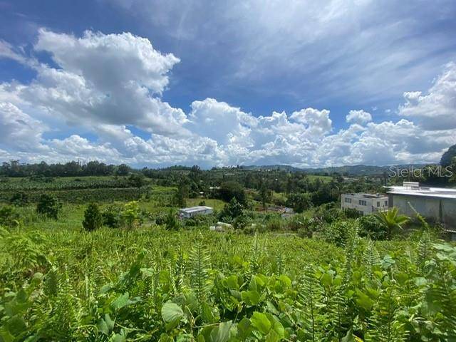 Barranquitas, PR 00794,CARR 152 #D