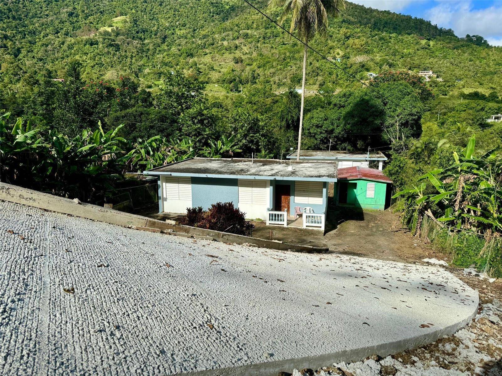 Aibonito, PR 00705,La Plata 173 ST