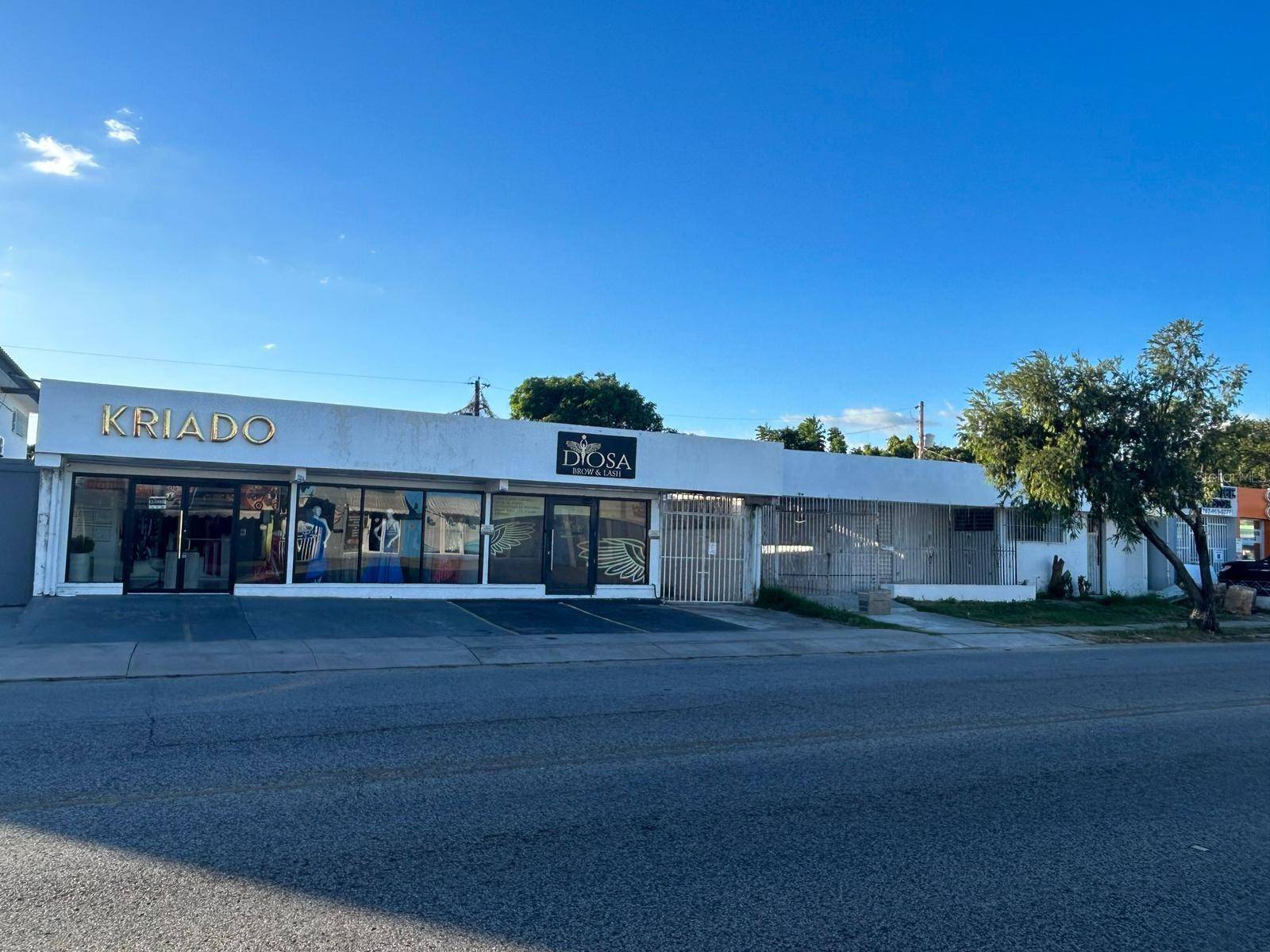 Ponce, PR 00717,. FAGOT