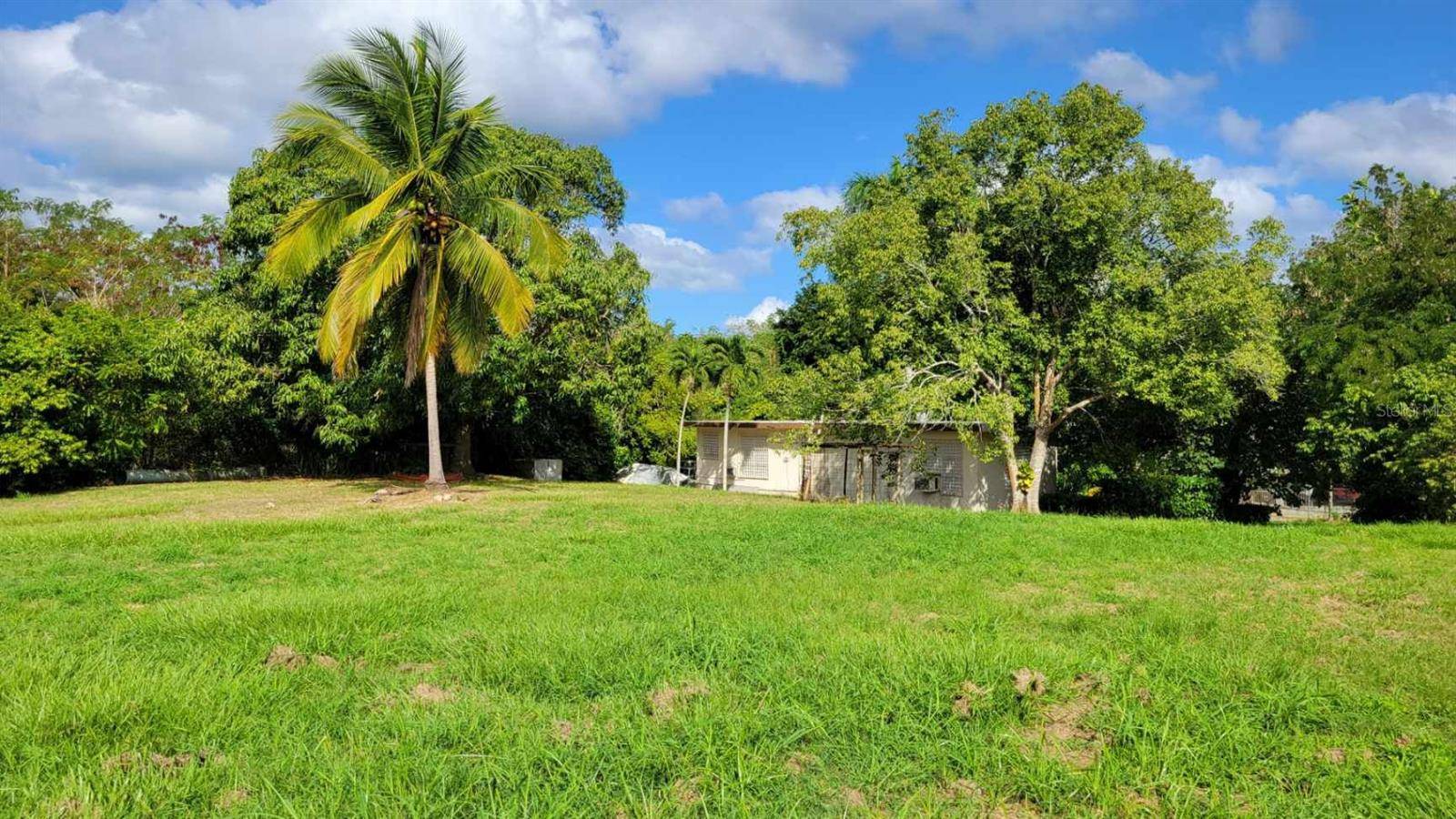 San German, PR 00683,Bo. Minillas CARR. 102 KM 38