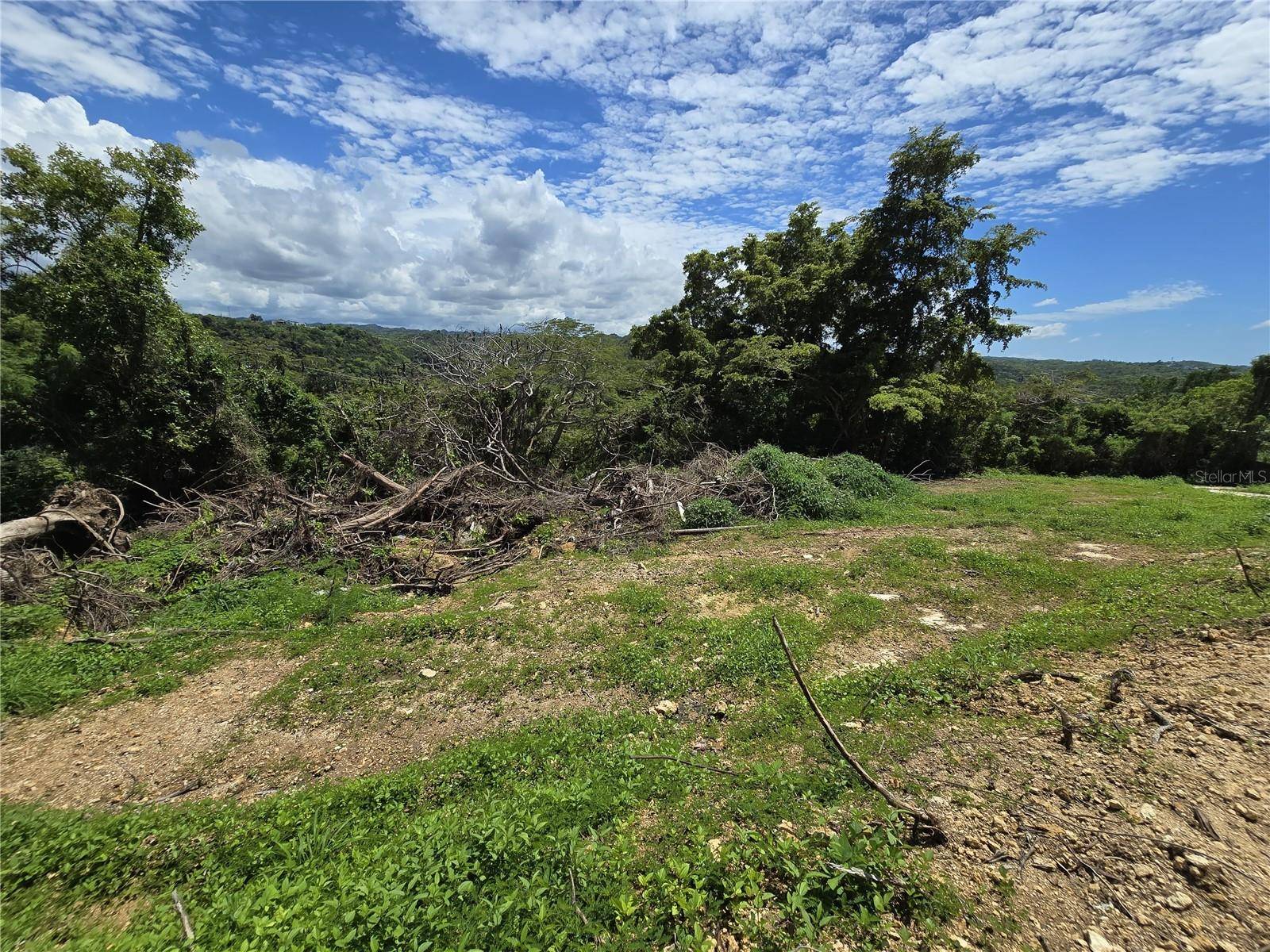 Quebradillas, PR 00678,carr 113 BARRIO TERRANOVA
