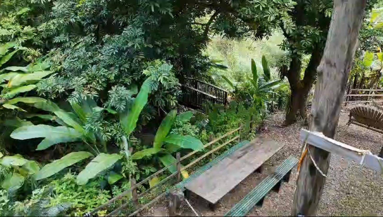 Ciales, PR 00638,149