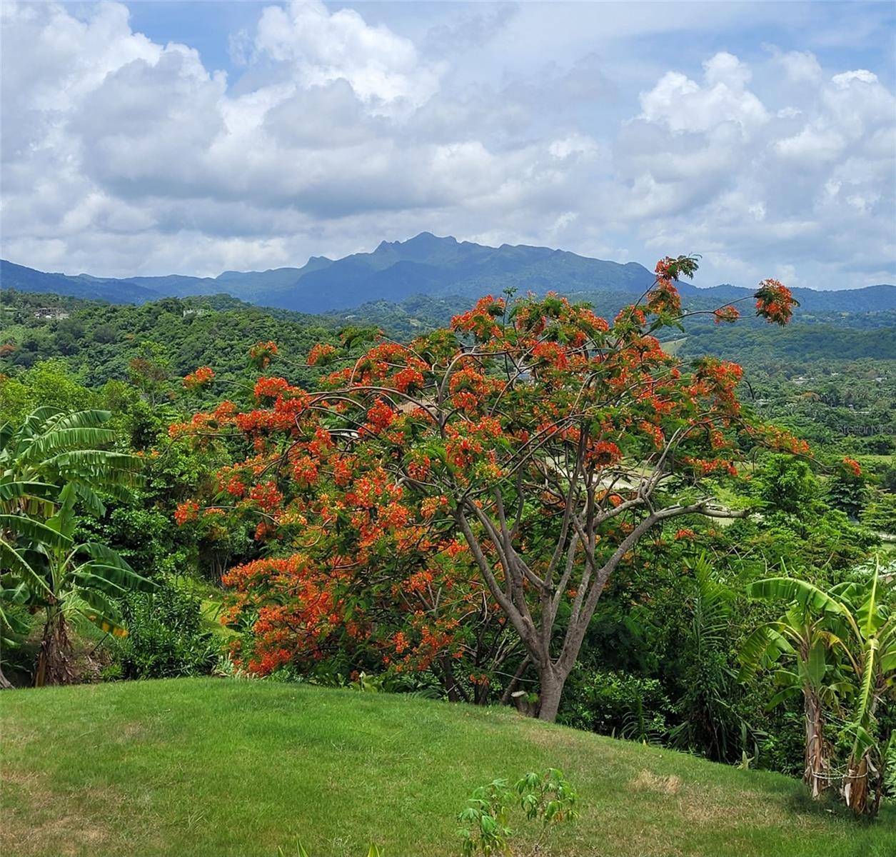 Luquillo, PR 00773,53 INGENIO ST