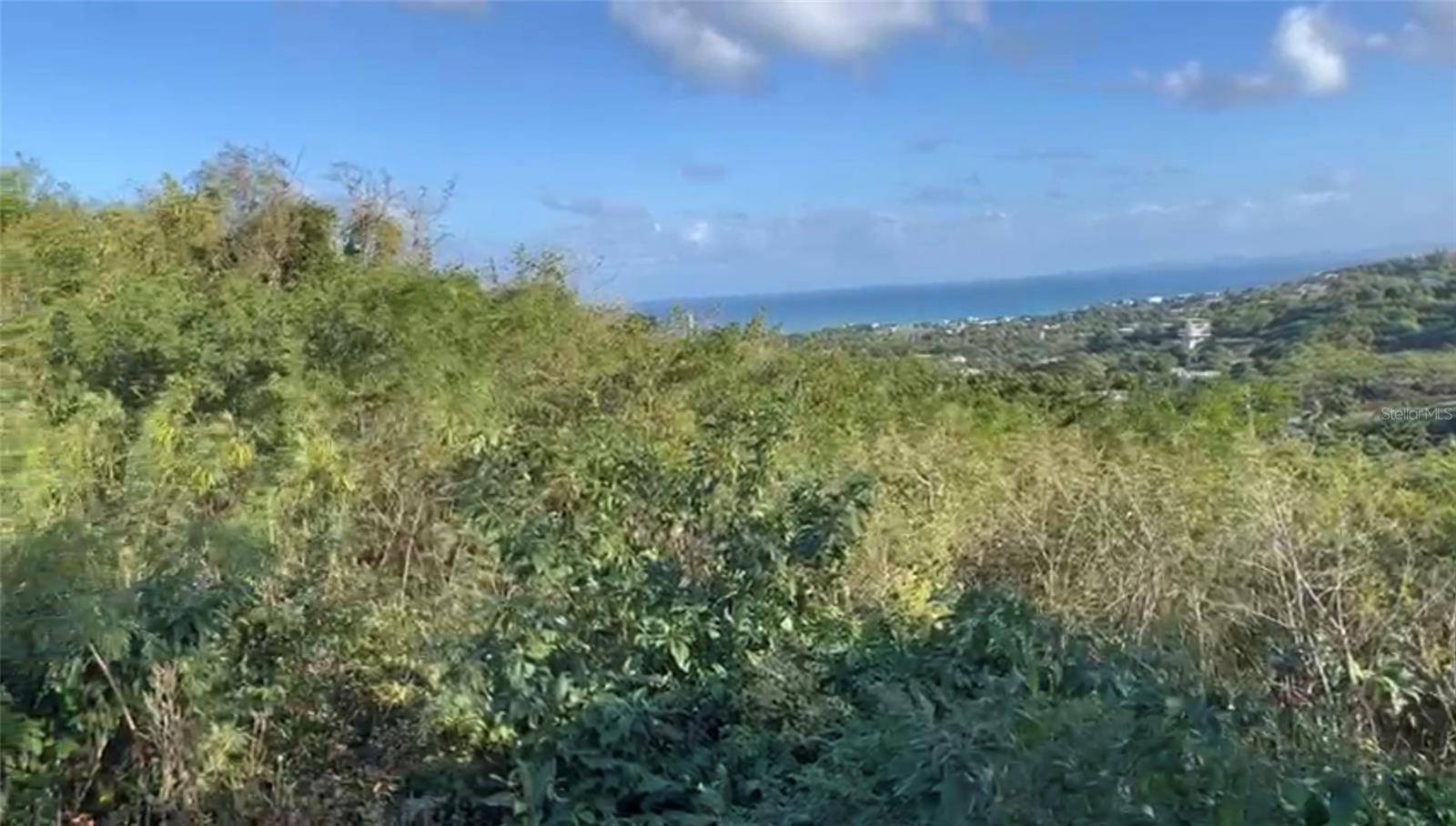 Vieques, PR 00765,COMUNIDAD VILLA BORINQUÉN