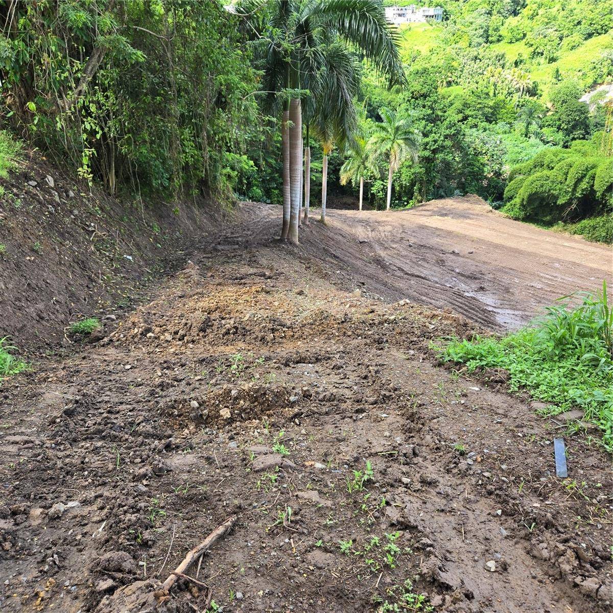 Naranjito, PR 00719,Address not disclosed