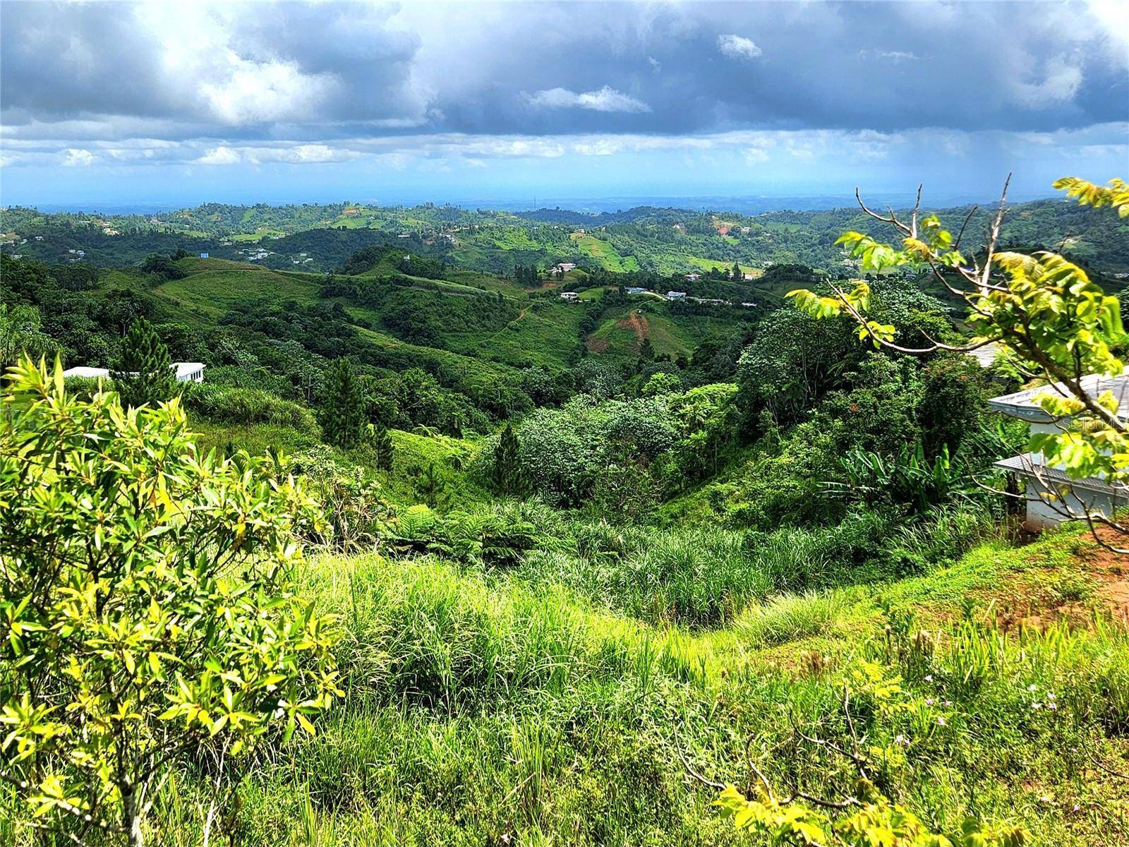 Barranquitas, PR 00794,PR 773 QUEBRADILLAS WARD