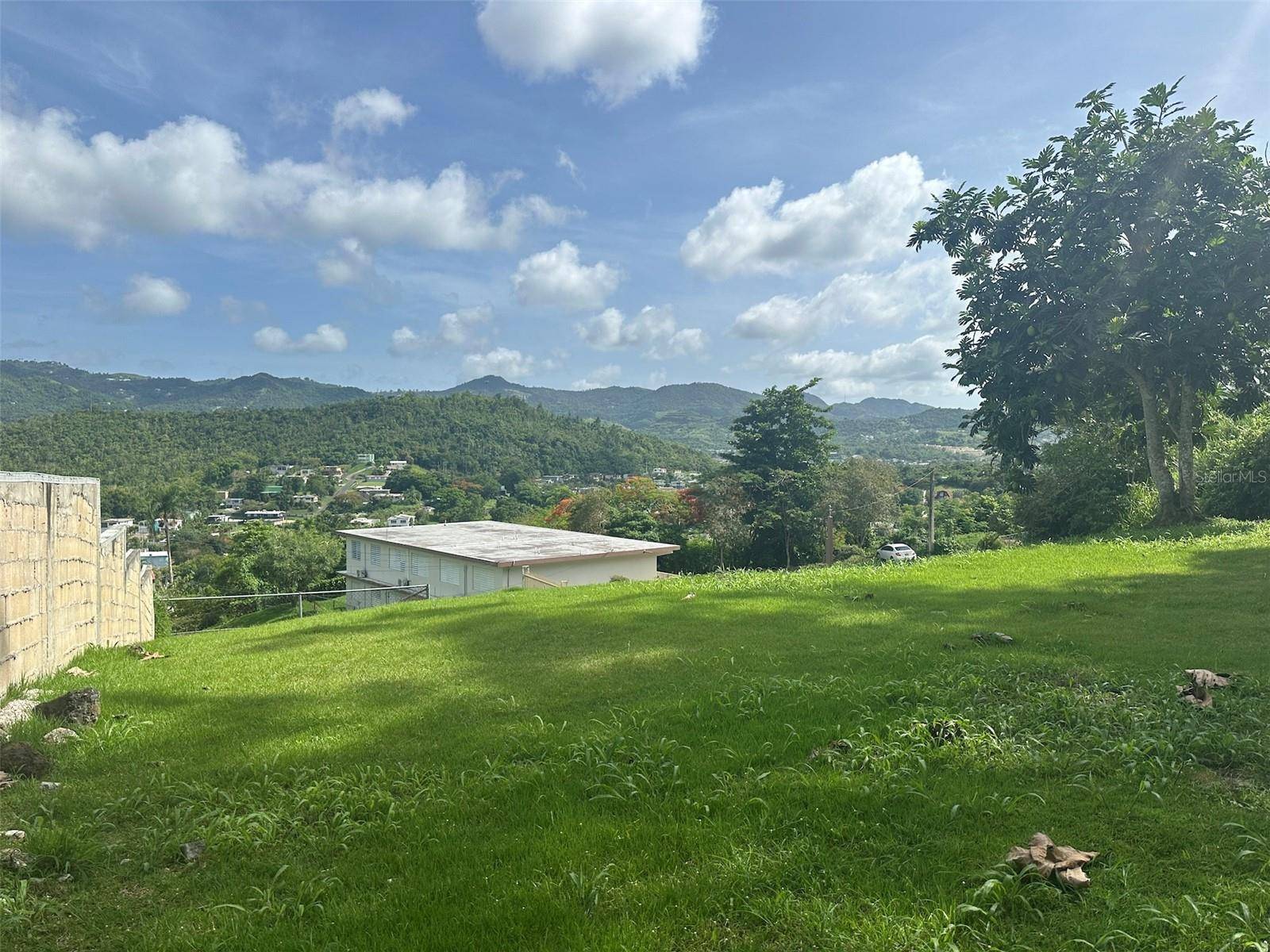Cayey, PR 00736,Lot 1 LOMAS PILFO SECTOR, C STREET