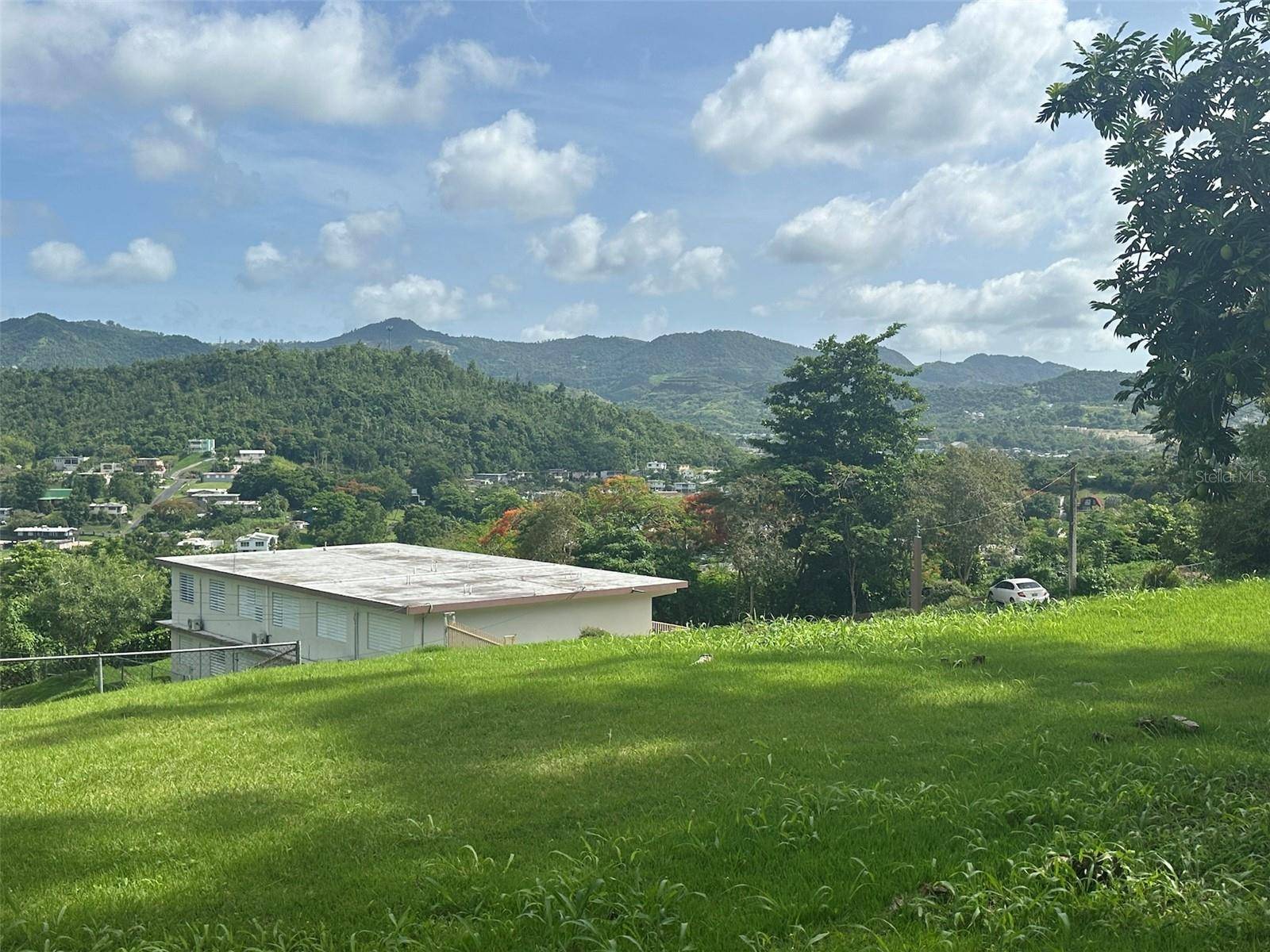 Cayey, PR 00736,Lot 1 LOMAS PILFO SECTOR, C STREET