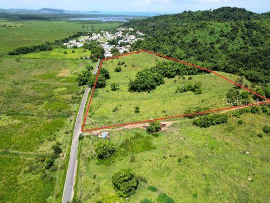 Humacao, PR 00791,ANTON CRUZ
