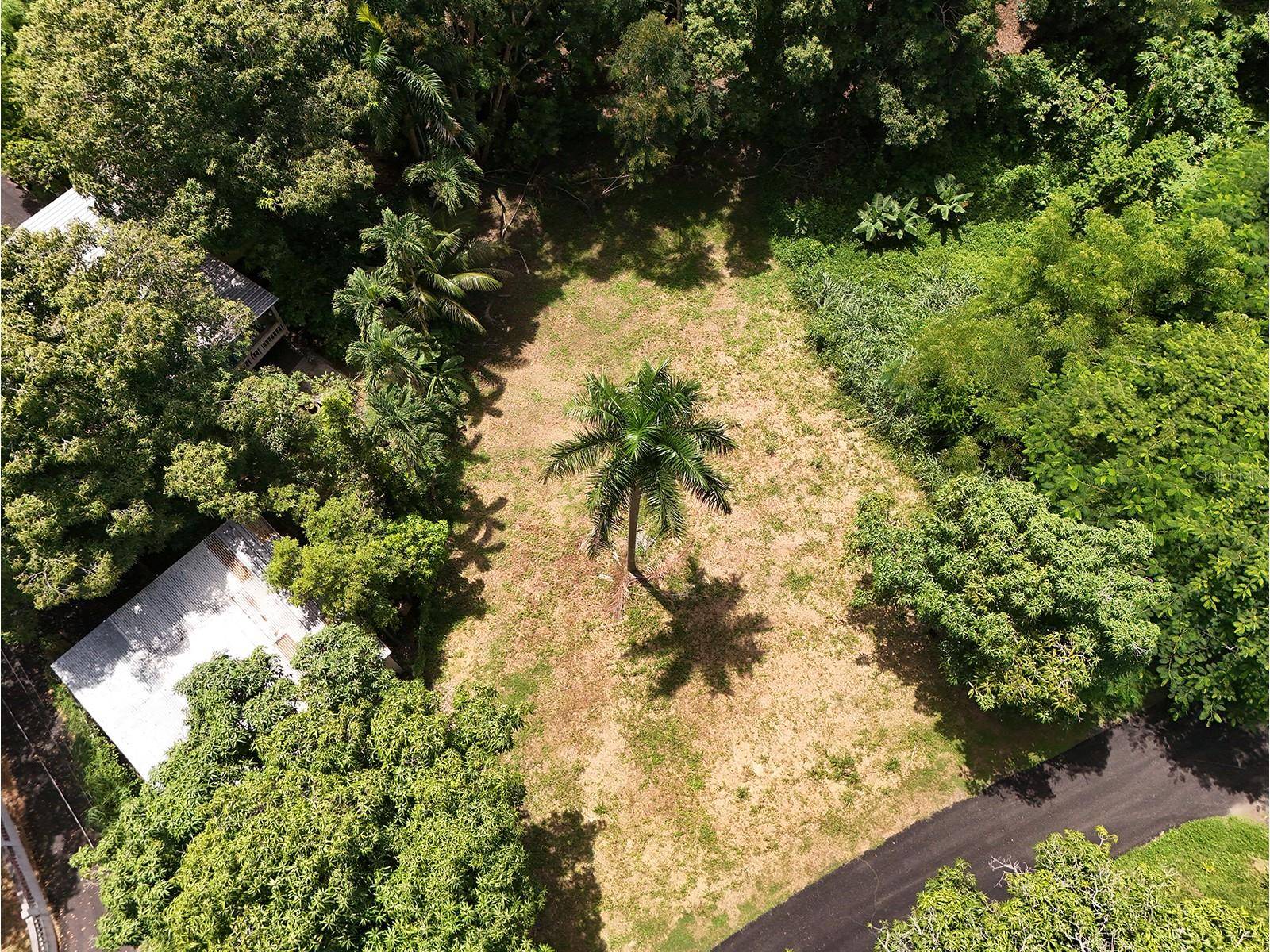 Rincon, PR 00677,PR 115 KM 16.7 BARRIO RIO GRANDE