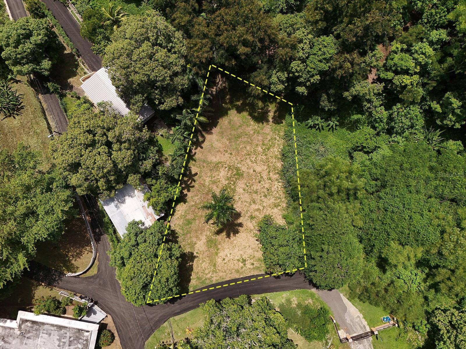 Rincon, PR 00677,PR 115 KM 16.7 BARRIO RIO GRANDE