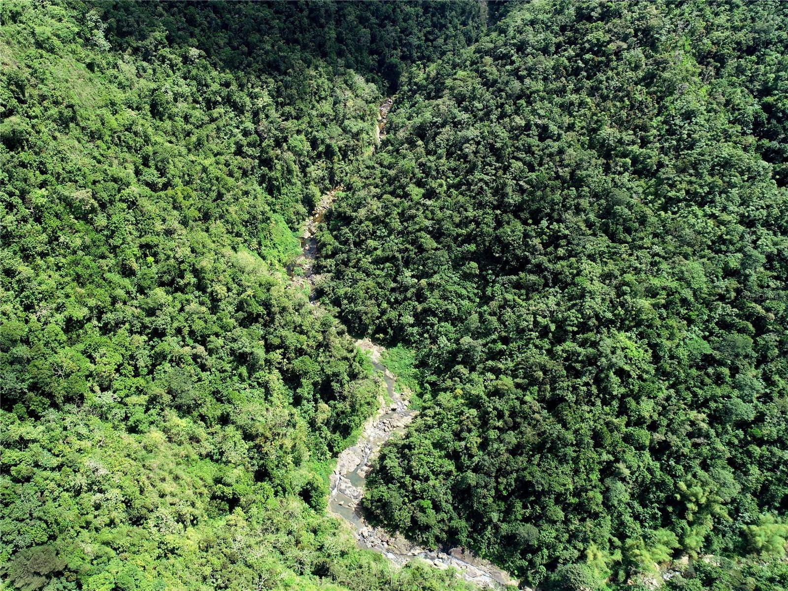 Utuado, PR 00641,BARRIO MAMEYES