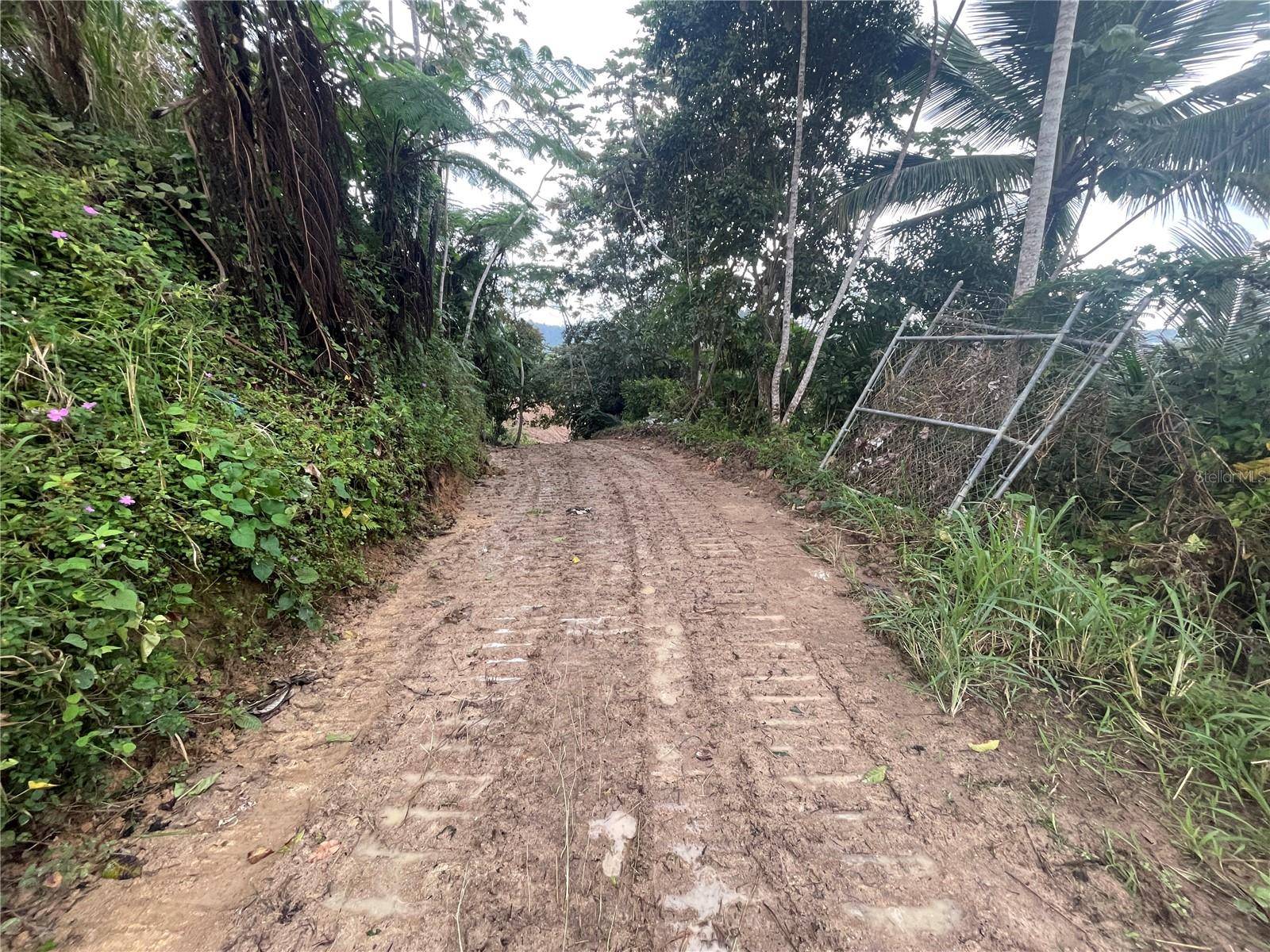 Yabucoa, PR 00767,KM 2 INTERIOR PR 902, PIEDRA BLANCA SECTOR