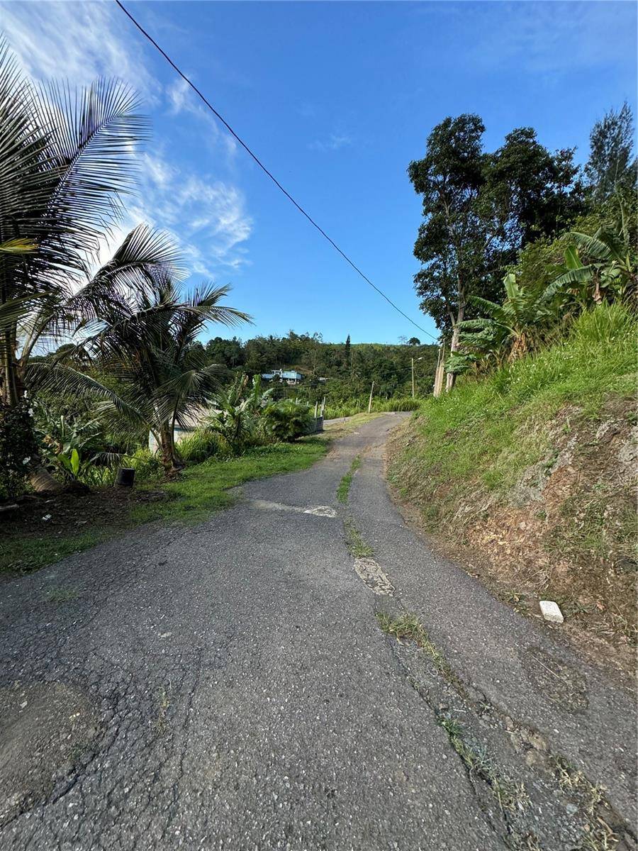 Cidra, PR 00739,PR 173 KM 5.9 BARRIO SALTO, INT.